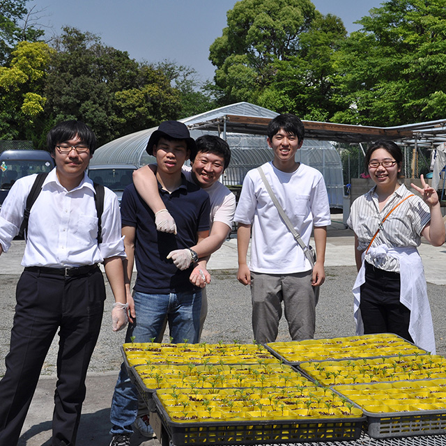 夏のイベント写真